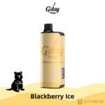 Alibarbar Ingot 9000 Puffs - Blackberry Ice