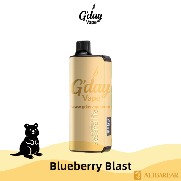 Alibarbar Ingot 9000 Puffs - Blueberry Blast