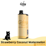 Alibarbar Ingot 9000 Puffs - Strawberry Coconut Watermelon