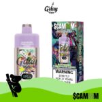 $CAMMM 15000 Puffs - Blackberry Pomegranate Cherry