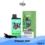 IGET Bar Pro 10000 Puffs Dynamic Mint disposable vape - fast Melbourne delivery, AU Post Express | GDayVape