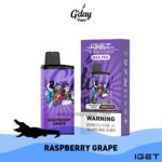 IGET Bar Pro 10000 Puffs - Raspberry Grape