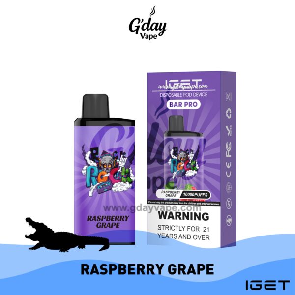 IGET Bar Pro 10000 Puffs - Raspberry Grape