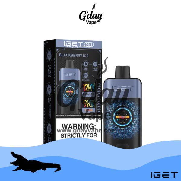 IGET One 12000 Puffs - Blackberry Ice