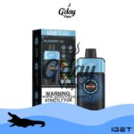 IGET One 12000 Puffs - Blueberry Ice