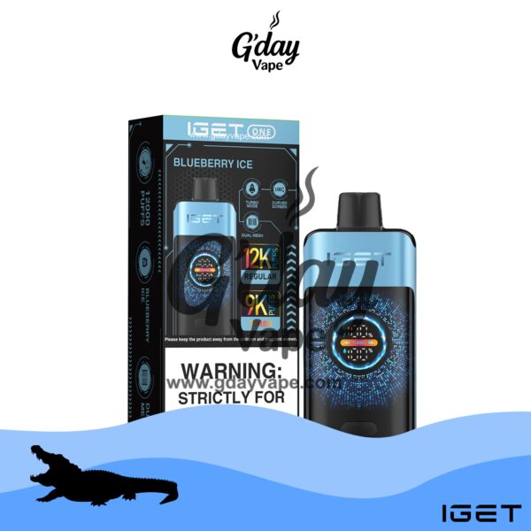 IGET One 12000 Puffs - Blueberry Ice