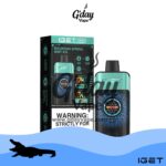 IGET One 12000 Puffs - Mountain Spring Mint Ice