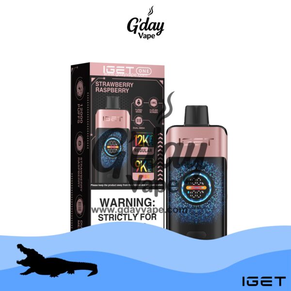 IGET One 12000 Puffs - Strawberry Raspberry