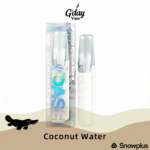 Snowplus DASH 4000 Puffs - Coconut Water