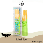 Snowplus DASH 4000 Puffs - Kiwi Ice