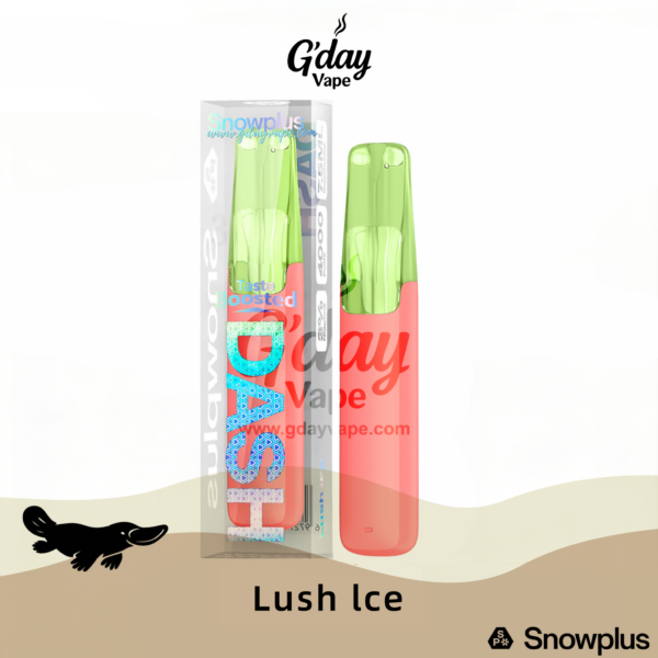 Snowplus DASH 4000 Puffs - Lush Ice