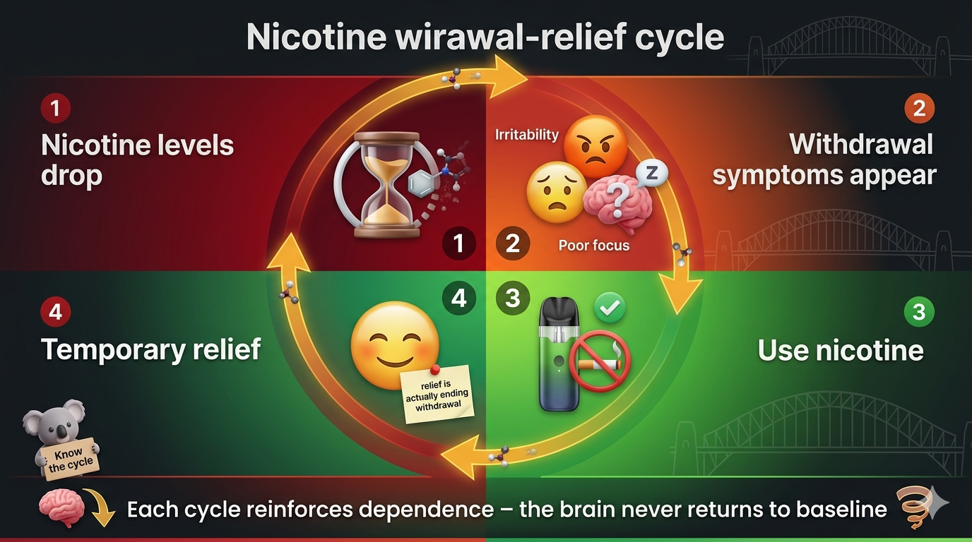 Circular diagram showing the nicotine withdrawal-relief cycle: Nicotine levels drop → withdrawal symptoms (irritability, anxiety, poor focus) → use nicotine → temporary relief → nicotine levels drop again. Each cycle reinforces dependence. Arrows show the loop and note that 'relief' is actually just ending withdrawal.
