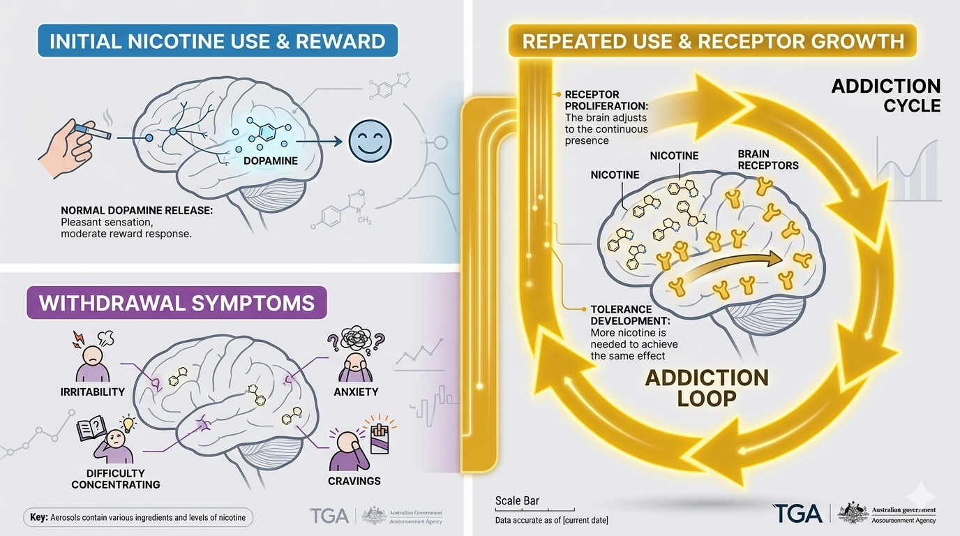 Tolerance and withdrawal illustration showing nicotine addiction cycle for vaping nicotine dependence education