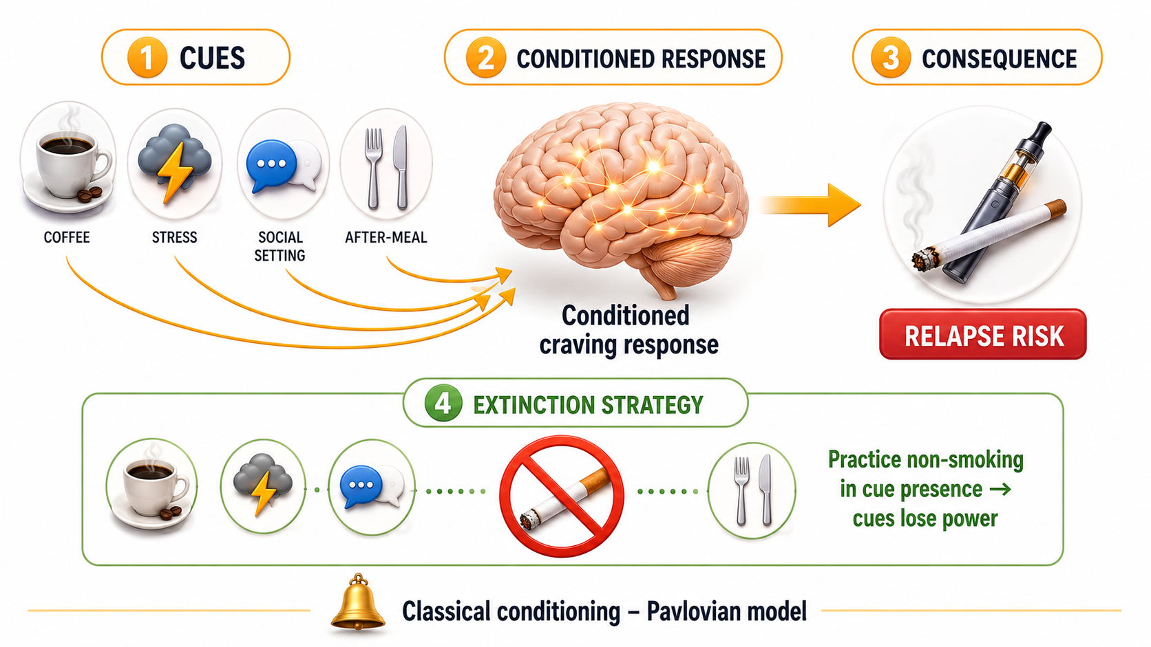 Smoking cue conditioning psychology diagram: coffee, stress, social settings and after-meal triggers activate nicotine craving circuits. Classical conditioning explanation for vape users Australia and relapse prevention.